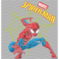 Spider Man-SP1